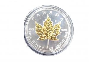 2012加拿大楓葉銀幣1盎司